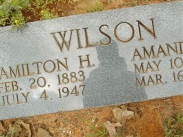 Amanda J Wilson