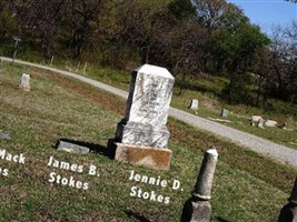 Amanda Jane "Jennie" Dowell Stokes
