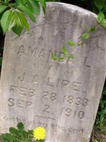 Amanda L Lipe Amanda L Lipe