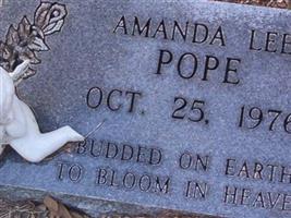 Amanda Lee Pope