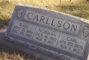 Mary Amanda "Mollie" Gower Carllson