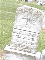 Amanda W. Weisner Amanda W. Weisner