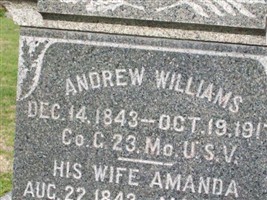 Amanda Williams Amanda Williams