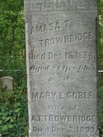 Amasa T. Trowbridge
