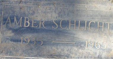Amber L. Schlichter