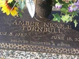 Amber Nicole Turnbull
