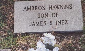 Ambros Hawkins