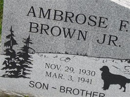 Ambrose F Brown, Jr