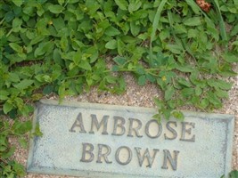Ambrose F Brown, Jr