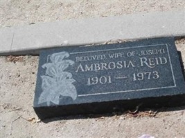 Ambrosia Reid Ambrosia Reid