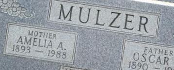 Amelia A. Mulzer