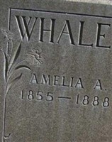 Amelia Ann Smith Whaley