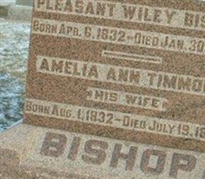Amelia Ann Timmons Bishop
