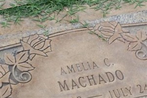 Amelia C Machado Amelia C Machado