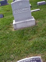 Amelia Dryfus Goodman