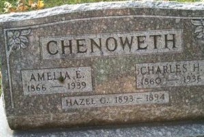 Amelia E. Chenoweth Amelia E. Chenoweth