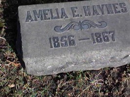 Amelia E. Haynes