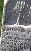 Amelia E. Trout Amelia E. Trout