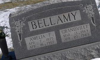 Amelia F Bellamy