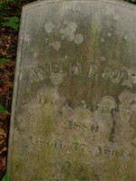 Amelia F. Potter
