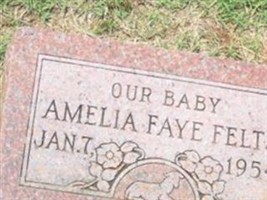 Amelia Faye Felts Amelia Faye Felts