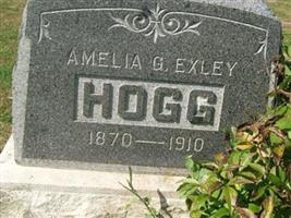 Amelia G Exley Hogg