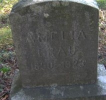 Amelia Grau