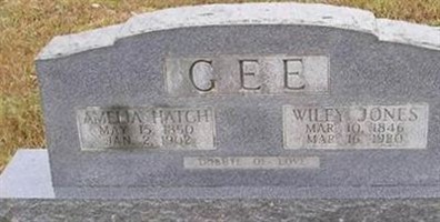 Amelia Hatch Gee Amelia Hatch Gee