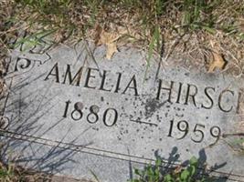 Amelia Hirsch