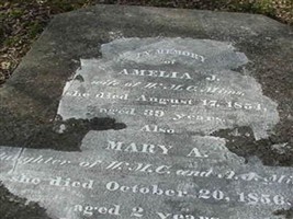 Amelia J Mims Amelia J Mims