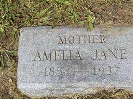 Amelia Jane Layman Amelia Jane Layman