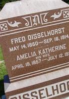 Amelia Katherine Disselhorst