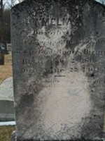 Amelia Knode Harry Birnie