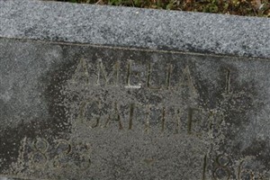 Amelia L. Gaither Amelia L. Gaither