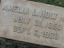 Amelia L. Holt Holt