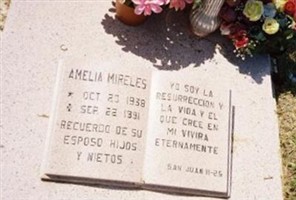 Amelia Mireles Amelia Mireles