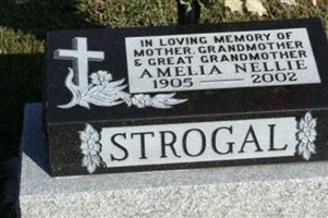 Amelia Nellie Strogal