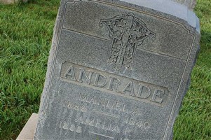 Amelia P. Andrade