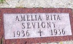 Amelia Rita Sevigny Amelia Rita Sevigny