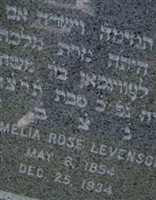 Amelia Rose Levenson