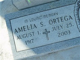 Amelia S Ortega Amelia S Ortega