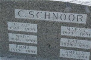 Amelia Schnoor Amelia Schnoor