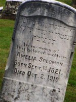 Amelia Solomon Amelia Solomon