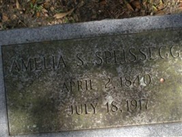 Amelia Susannah Chamberlain Speissegger