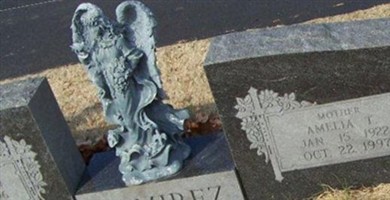 Amelia T. Ramirez