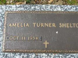 Amelia Turner Shelton