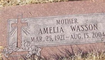 Amelia Wasson