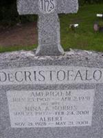 Amerigo DeCristofalo (2068130.jpg)