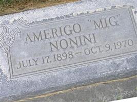 Amerigo L. Nonini