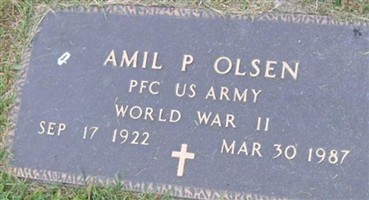 Amil P Olsen